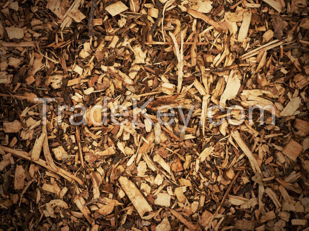 Eucalyptus Wood Chips