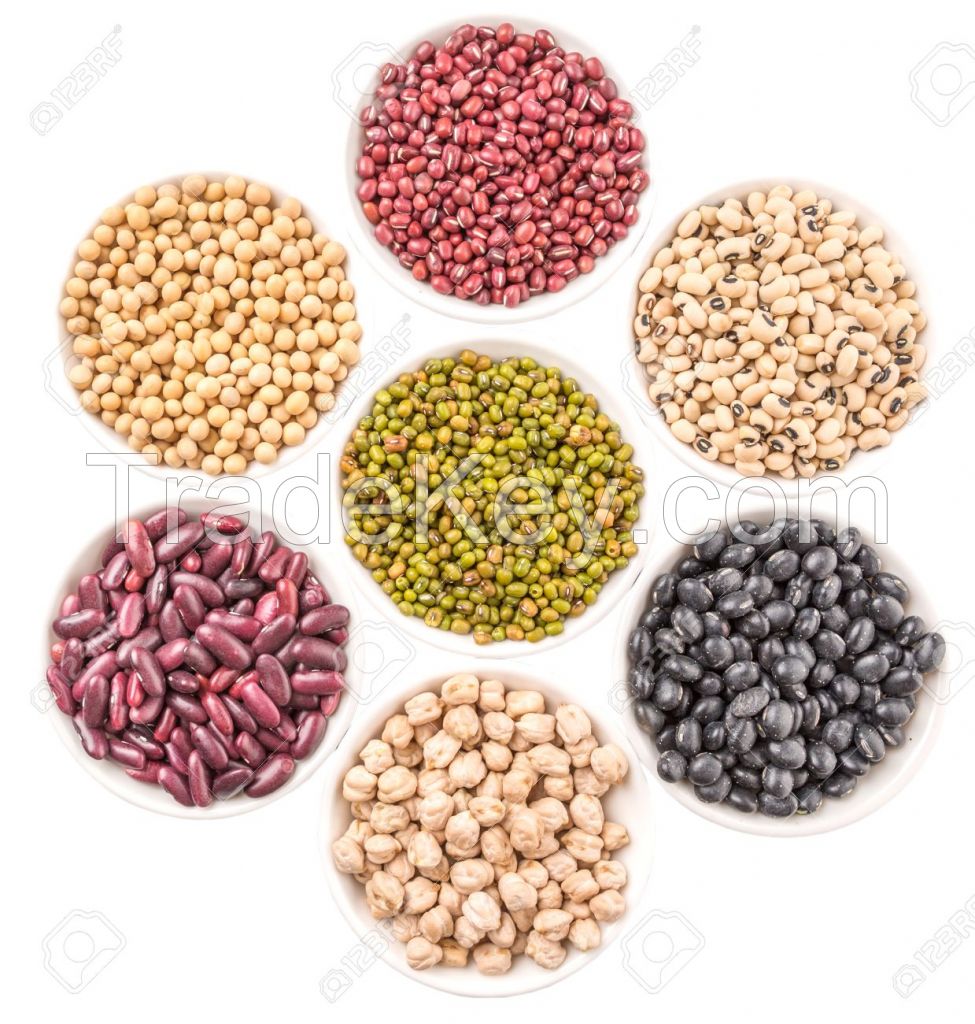 Beans,Black beans , Butter Beans , Broad Beans, Cocoa beans, Fresh Beans, Lima Beans, Mung Beans, Soybeans, Vanilla Beans,