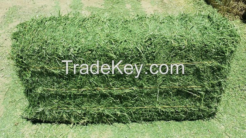 Alfalfa Hay, Animal Feed, Bone Meal , Cattle Feed, Chicken Feed, Corn Gluten Meal, Cotton Seed Meal,Fish Feed Fish Meal , Hay, Horse Feed ,Rice Bran, Salt Lick ,Soybean Meal , Wheat Bran ,Worm ,