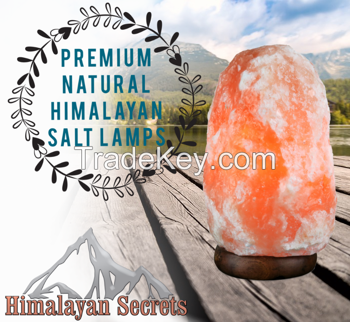 Premium Natural Himalayan Salt Lamp w/ Dimmer Cord 2-3 KG US Stock