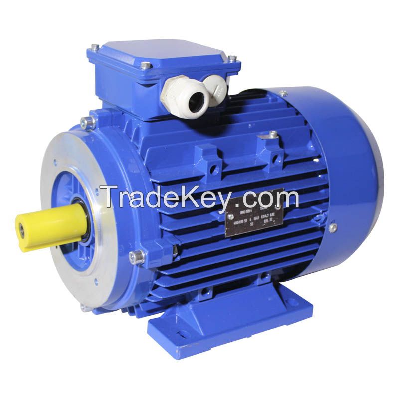 HM1 Series(IE1,Y/Y2/Y3) Three Phase Asynchronous Motor