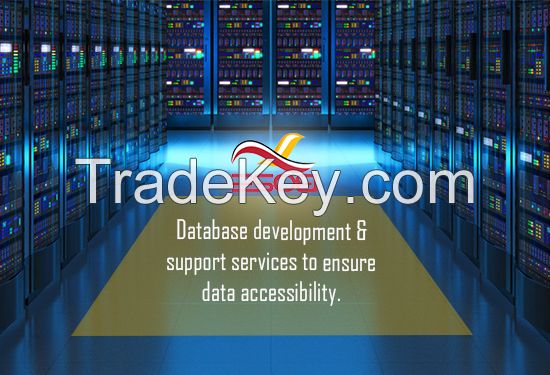 Database Services in India 