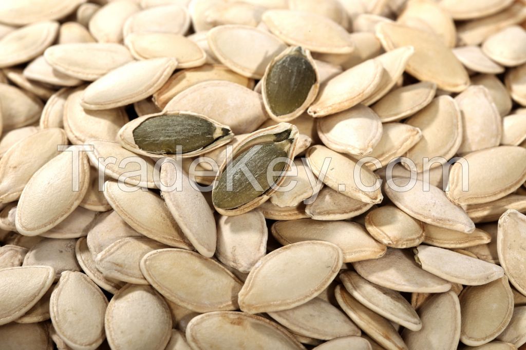 Salted and Roasted Pumpkin kernel seeds snacks