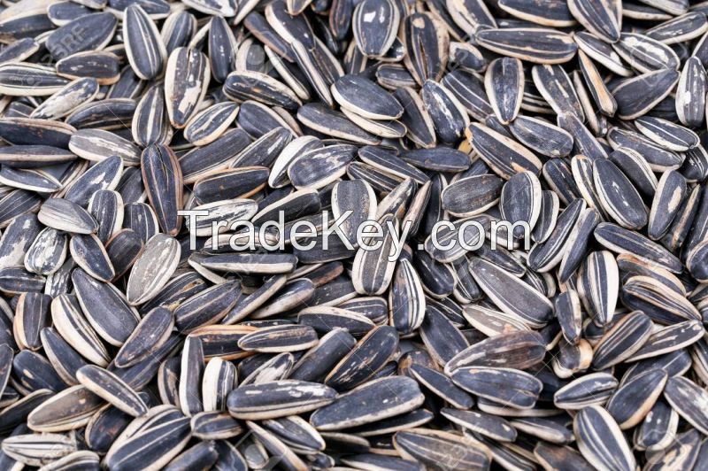 TRUELOVE Original Roasted Sunflower Seeds