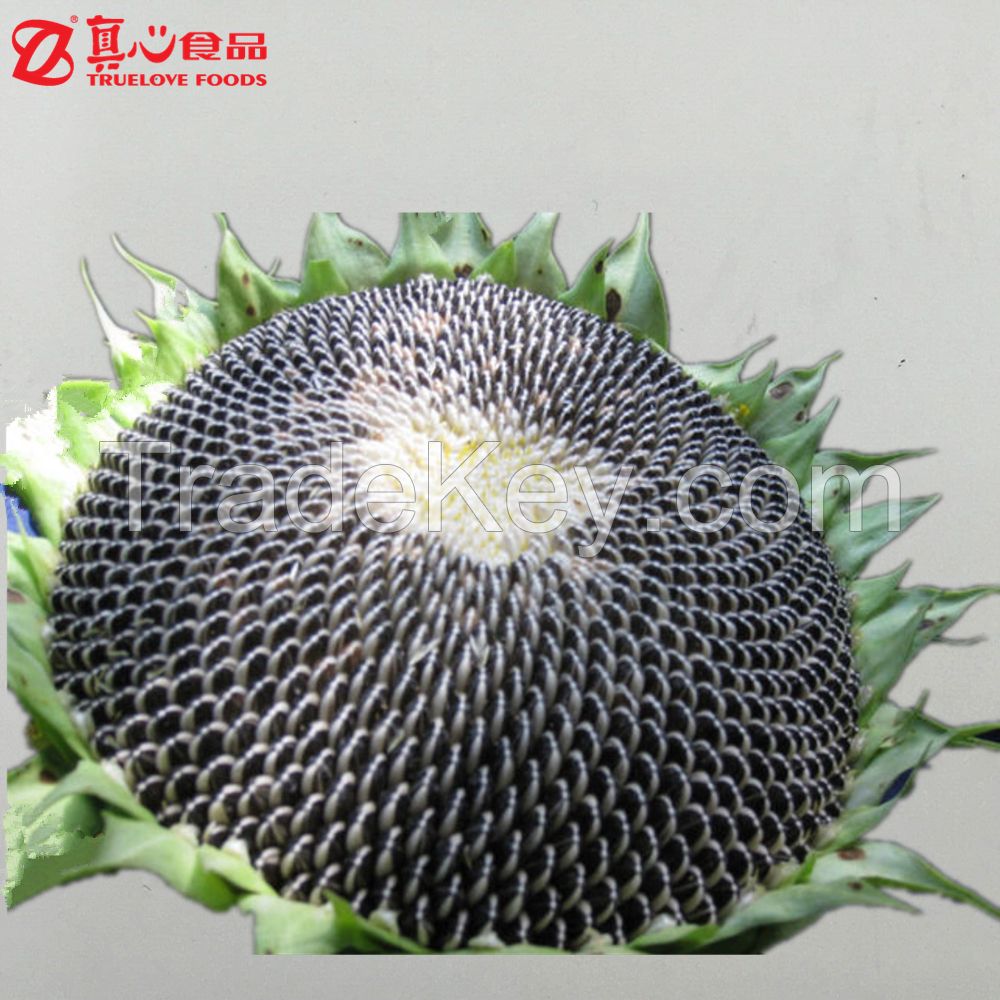 Dried Sunflower Seeds for Snack Food or Cooking