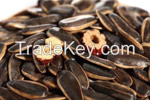 Red Date Flavor Roasted Sunflower Seeds for buyers