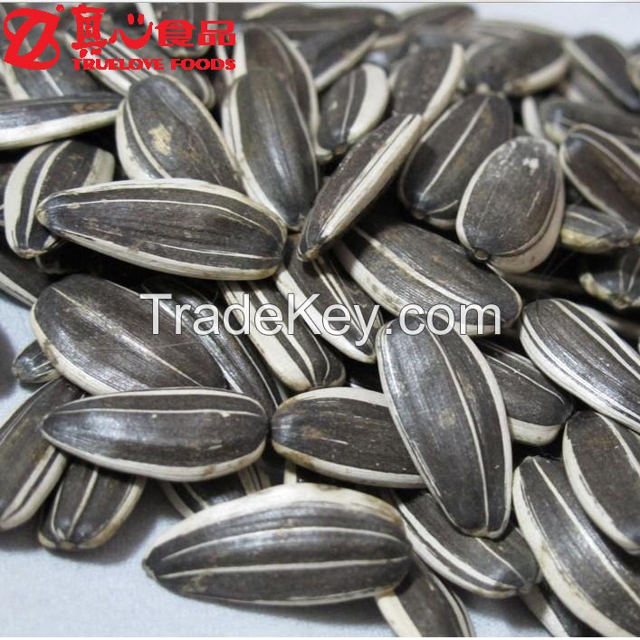 Chinese Bulk Sunflower Seeds 363 with Stripes