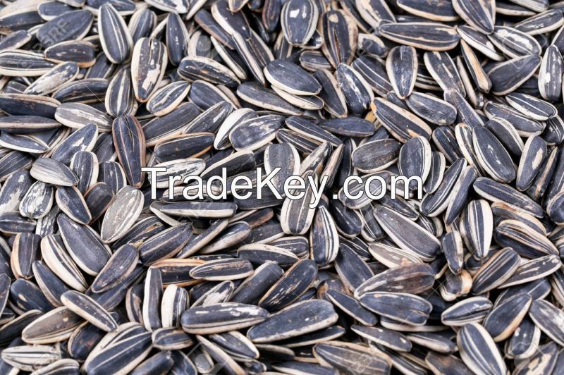 Roasted Fragrant Flavor Organic Sunflower Seeds