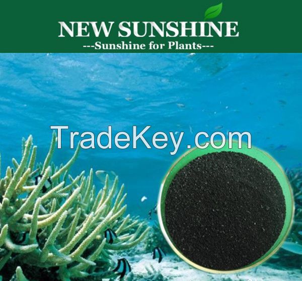 100% soluble Seaweed Extract for Plant growth agent