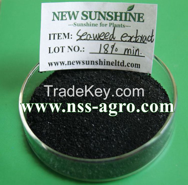 100% soluble Seaweed Extract for Plant growth agent