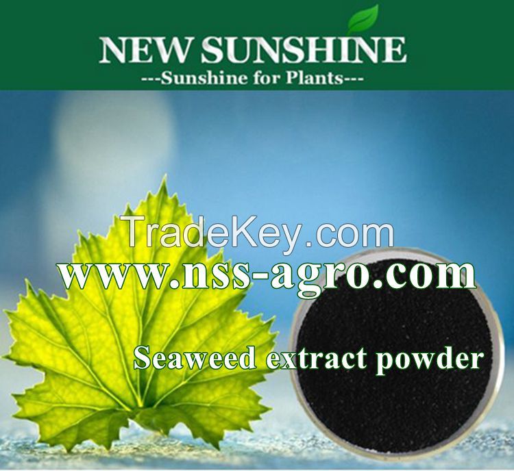 100% soluble Seaweed Extract for Plant growth agent