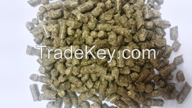 Sugarcane Bagasse pellet