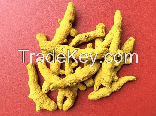 Turmeric Finger with curcumin 6%