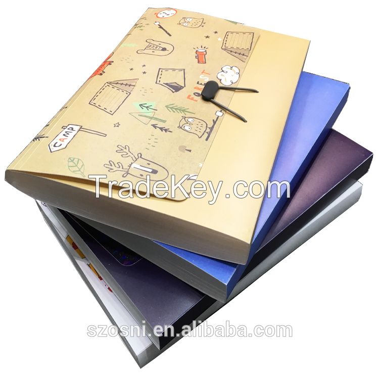 Wholesale high quality A4 plastic PP file folder sheets expanding file folder
