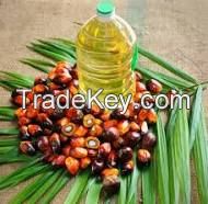 Crude Palm Oil 