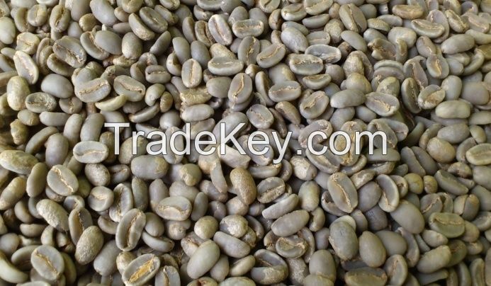 Gayo Arabica Coffee Beans