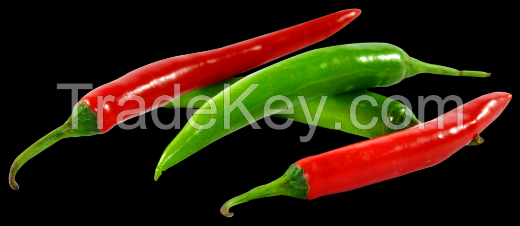dried red and green chillies