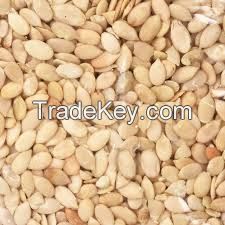 MELON SEED {GROUND EGUSI}