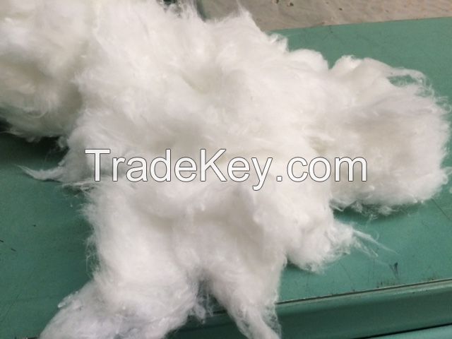 polyester staple fiber, cotton comber noil,