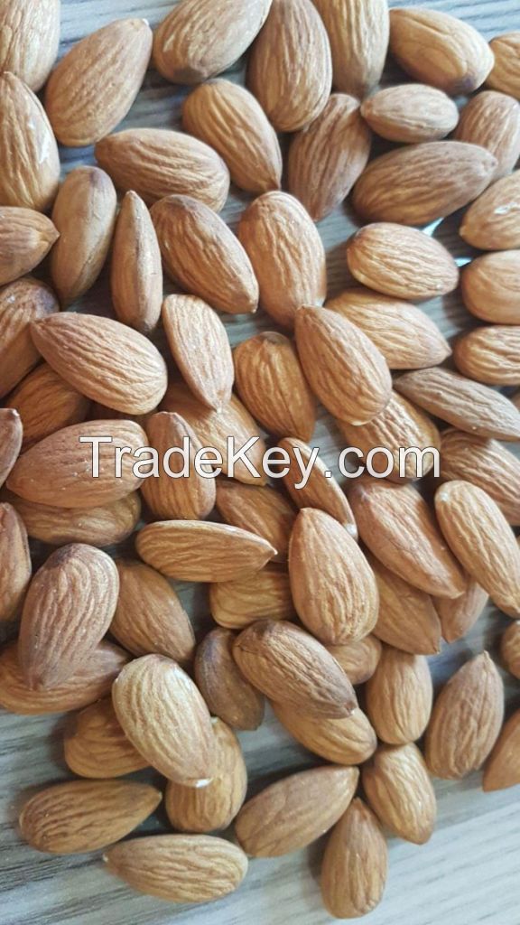 California Almond Nuts, Almond Nuts, Best Quality Almond Nuts, Grade A Almond Nuts