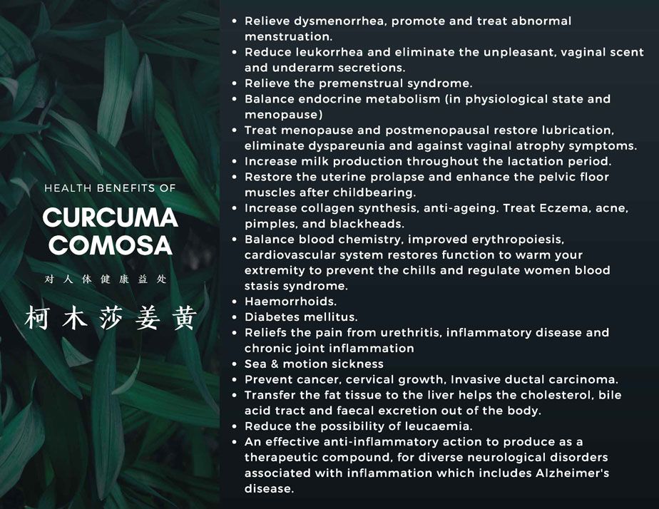 PURE NATURAL CURCUMA COMOSA HERB POWDER EXTRACT ( PREMIUM GRADE )