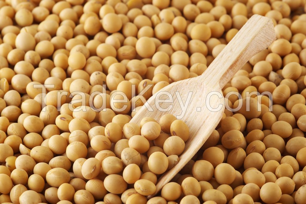 Soybeans