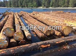 Hemlock Logs