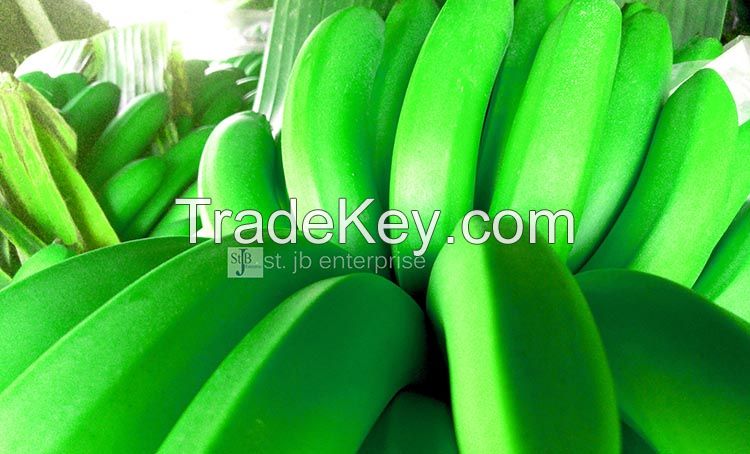 Fresh Cavendish Banana