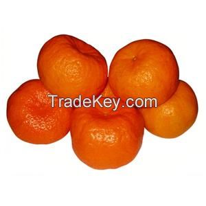Tangerine(Lu gan)