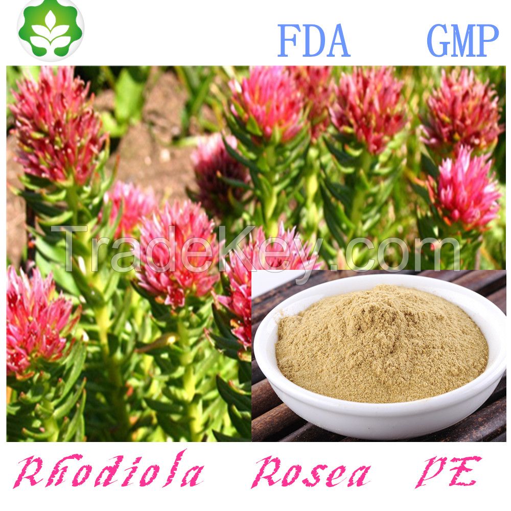 GMP FDA factory price Rhodiola Rosea Extract Salidroside