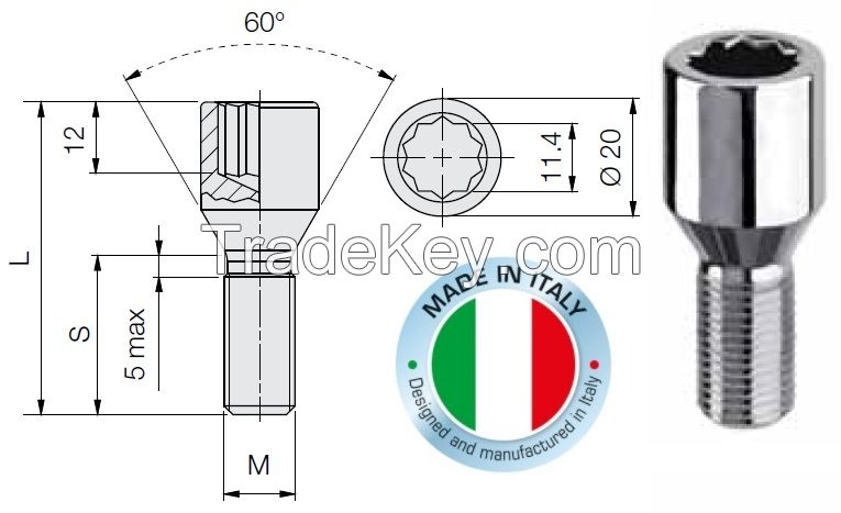 Tuner lug bolt