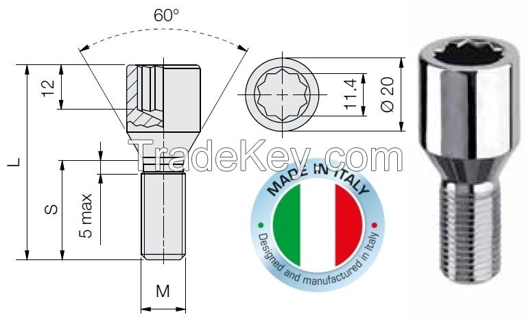 Tuner lug bolt