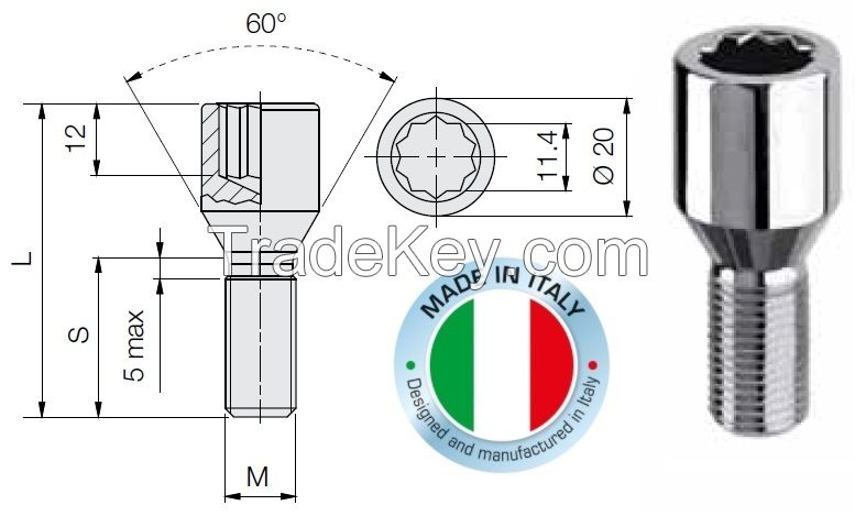 Tuner lug bolt