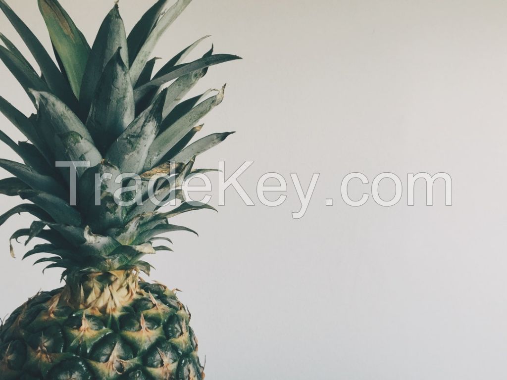 Pineapple MD2