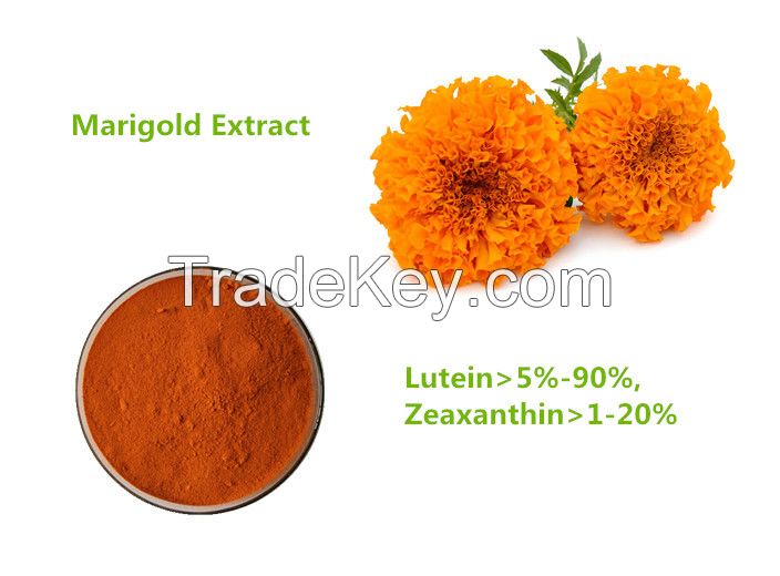 Marigold extract with Lutein