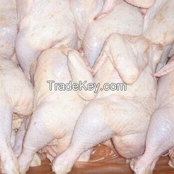 Frozen Whole Chicken and Chicken parts