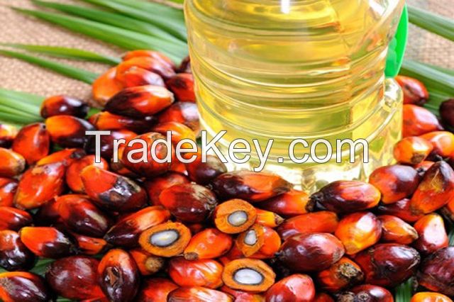 100% pure CP 10 crude palm oil for cooking