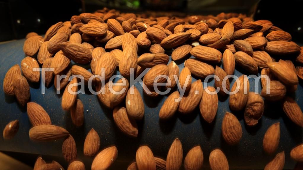 Sweet California Almonds Available/ Raw Almonds Nuts