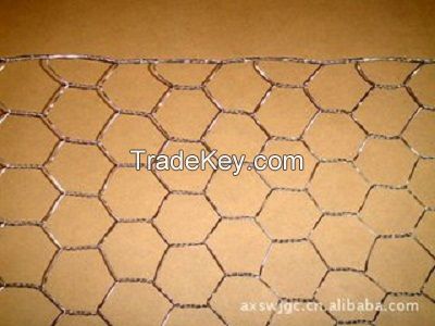 useful electric-galvanized hexagonal wire mesh