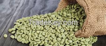 ROBUSTA GREEN COFFEE BEAN