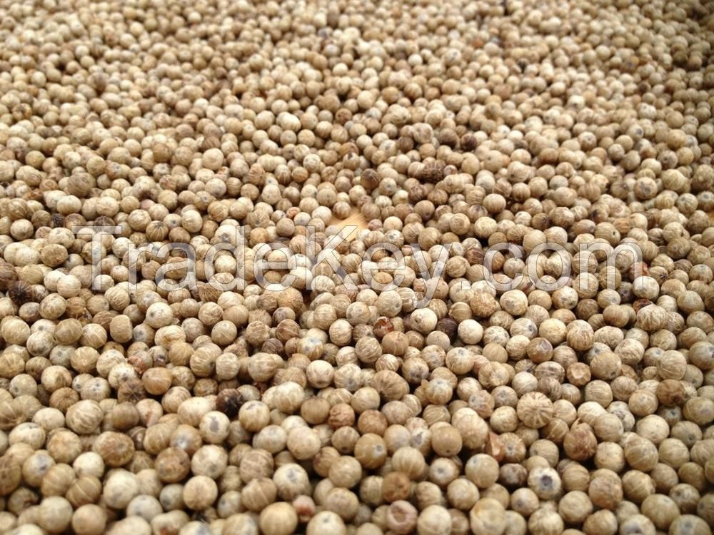 Black/White Pepper 550gl/ 500gl/ Whole Black Pepper