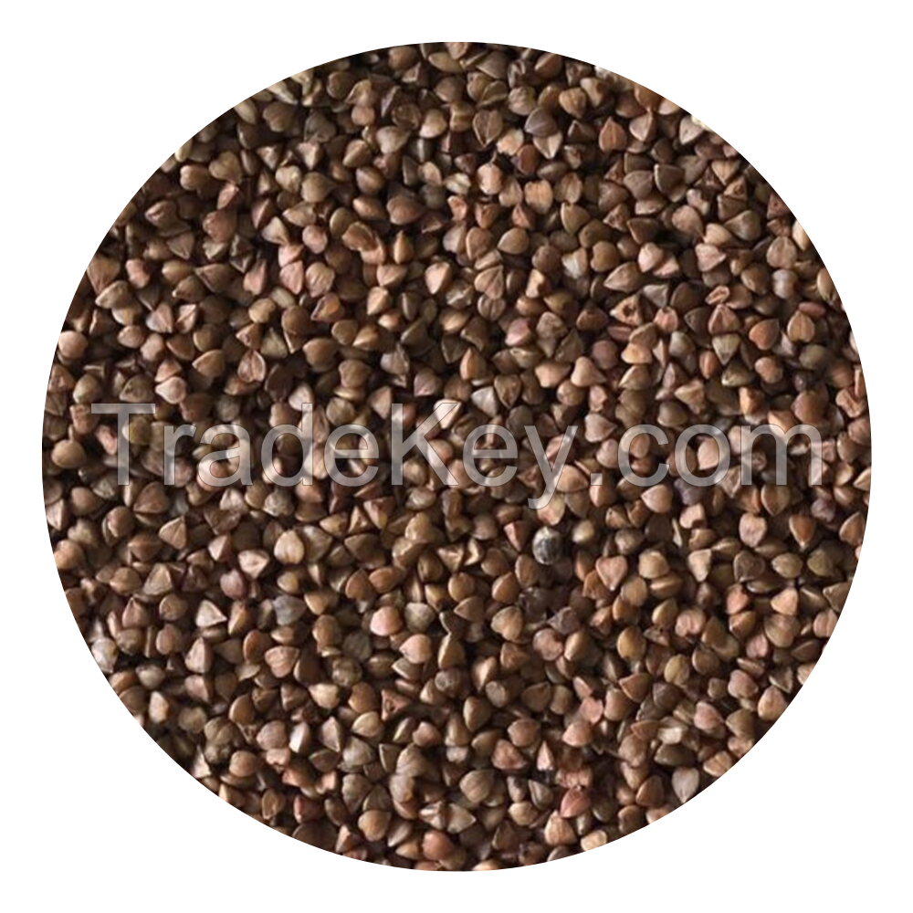 Russian Wholesale Buckwheat 