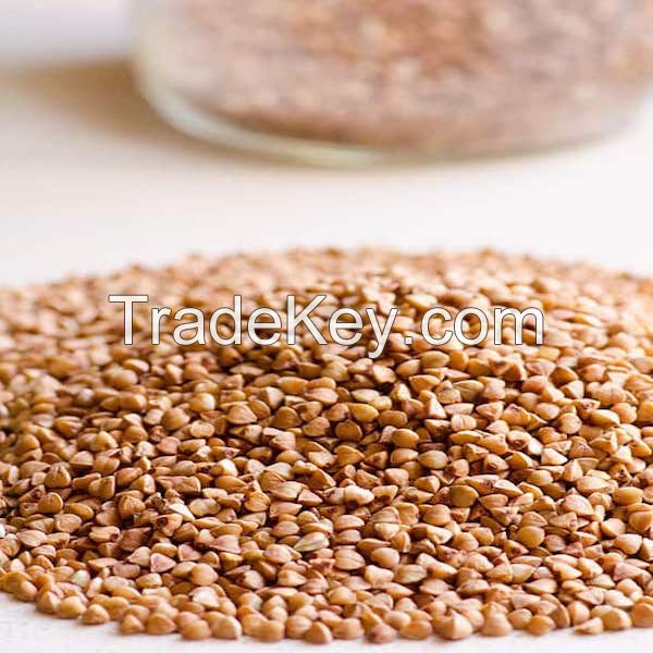 Best Price High Quality Buckwheat 
