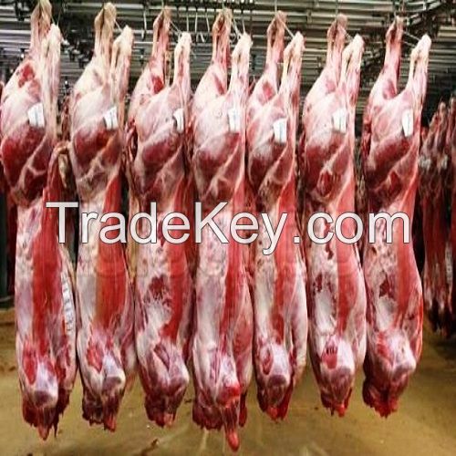  Premium Quality 100% Halal Fresh/Frozen Sheep/Goat/Lamb Meat/Carcass For Sale