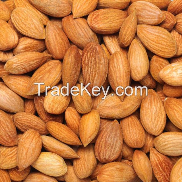 Raw Natural Almond Nuts / Organic Almonds for sale