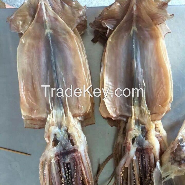  Dry Squid Dried Seafood Whole Round