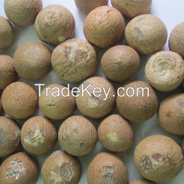 DRIED WHOLE BETEL NUTS/ ARECA NUTS 