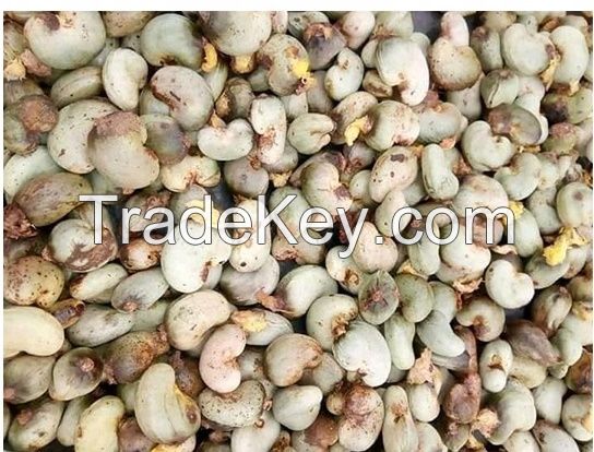 Large-grained cashew nuts/naturally grown cashew nuts