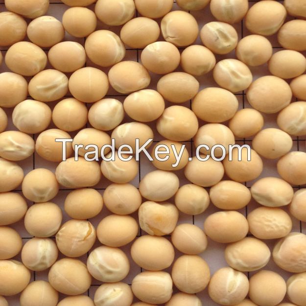 100% Organic Fresh Yellow peas, Whole Yellow Peas, Yellow Split Peas for sale