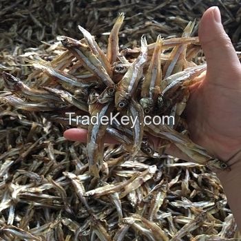 Dried Sprat Anchovy / 100% Sun Dried Sprat for sale